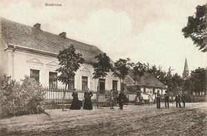 Brodnica - Reprodukcja 35518