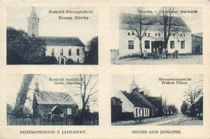 Jabłonna - Reprodukcja 35567