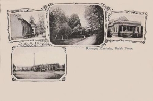 Kamieniec - Reprodukcja 35572