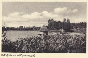 Węgorzyno - Reprodukcja 35687