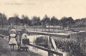Węgorzyno - Reprodukcja 35688