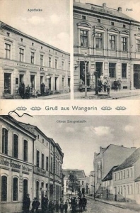 Węgorzyno - Reprodukcja 35727