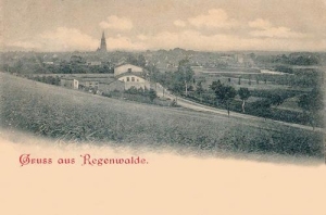 Resko - Reprodukcja 35749