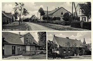 Bienice widokowa - Reprodukcja 35799