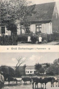 Borkowo Wielkie - Reprodukcja 35803