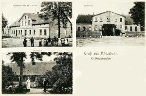 Łabuń Wielki - Reprodukcja 35851
