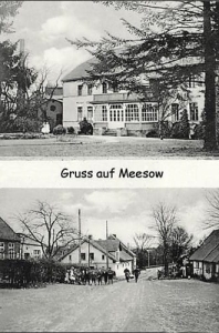 Mieszewo - Reprodukcja 35854