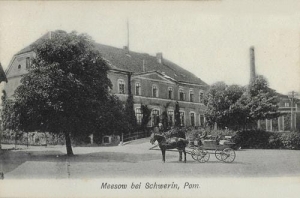 Mieszewo - Reprodukcja 35857