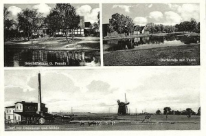 Poradz - Reprodukcja 35864