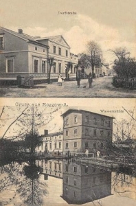 Rogowo - Reprodukcja 35876