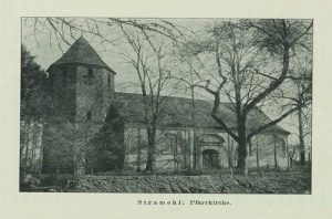 Strzmiele - Reprodukcja 35897
