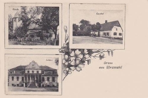 Strzmiele - Reprodukcja 35900