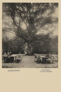 Głubczyce - Reprodukcja 35931