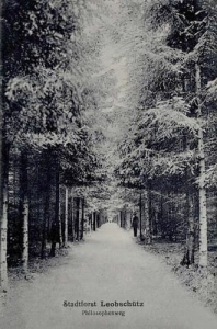Głubczyce - Reprodukcja 35934