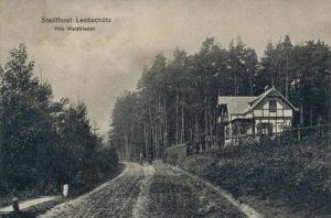 Głubczyce - Reprodukcja 35989