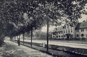 Głubczyce - Reprodukcja 36015