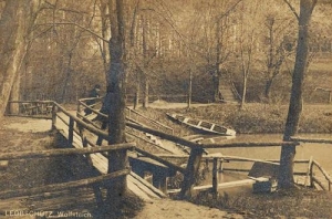 Głubczyce - Reprodukcja 36100
