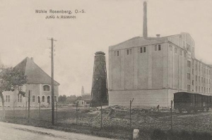 Olesno - Reprodukcja 36143