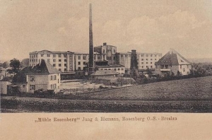Olesno - Reprodukcja 36144
