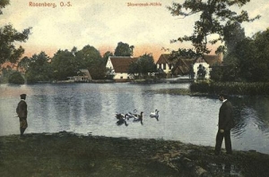 Olesno - Reprodukcja 36150