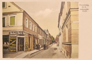 Olesno - Reprodukcja 36182