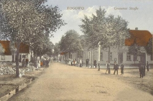 Rogowo - Reprodukcja 36232