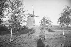 Myszyniec - Reprodukcja 36234