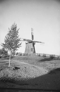 Myszyniec - Reprodukcja 36235