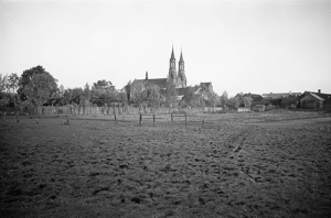 Myszyniec - Reprodukcja 36261