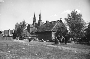 Myszyniec - Reprodukcja 36281