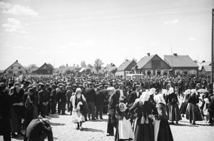 Myszyniec - Reprodukcja 36286
