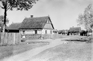 Myszyniec - Reprodukcja 36304