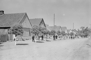 Myszyniec - Reprodukcja 36306
