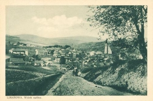 Limanowa panorama - Reprodukcja 36364