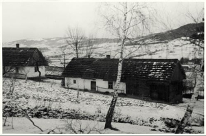 Limanowa - Reprodukcja 36382