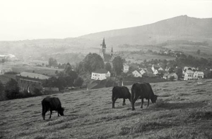 Mszana Dolna - Reprodukcja 36396