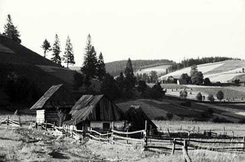 36397 (Copy).jpg