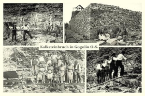 Gogolin - Reprodukcja 36425