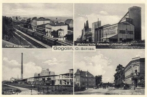 Gogolin - Reprodukcja 36439