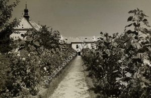 Stopnica Klasztor -Reprodukcja 2295