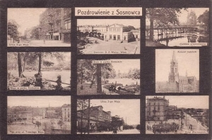 Sosnowiec widokowa - Reprodukcja 15389