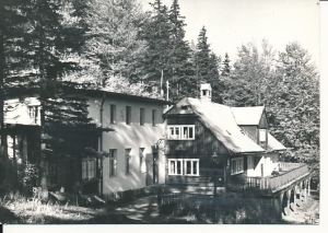 Międzygórze - 013150
