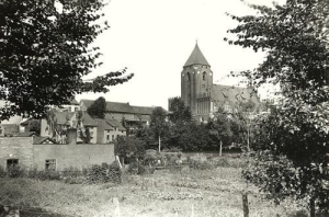Orneta - Reprodukcja 36483