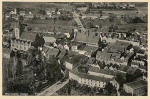 Orneta - Reprodukcja 36495