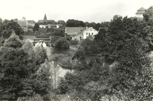 Orneta - Reprodukcja 36498