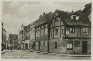 Orneta - Reprodukcja 36534