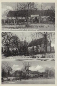 Bażyny - Reprodukcja 36548