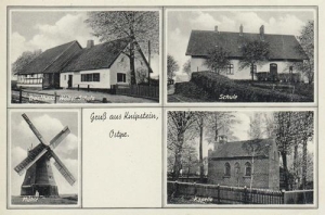 Knipy - Reprodukcja 36564