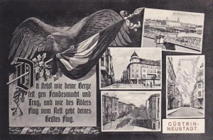 Kostrzyn Nad Odrą - Reprodukcja 36829