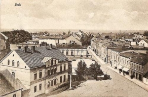 Buk panorama - Reprodukcja 36882